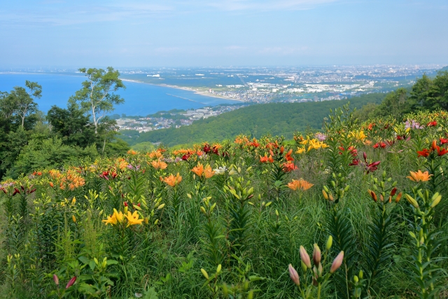 北海道石狩市のふるさと納税のご紹介