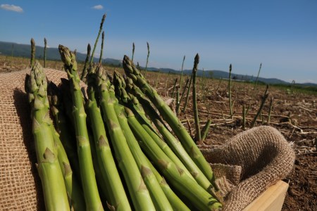 野菜